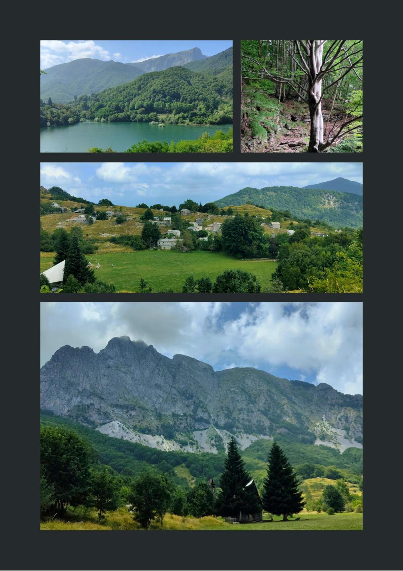 Borgo Del Sole Agriturismo Poggio  Экстерьер фото